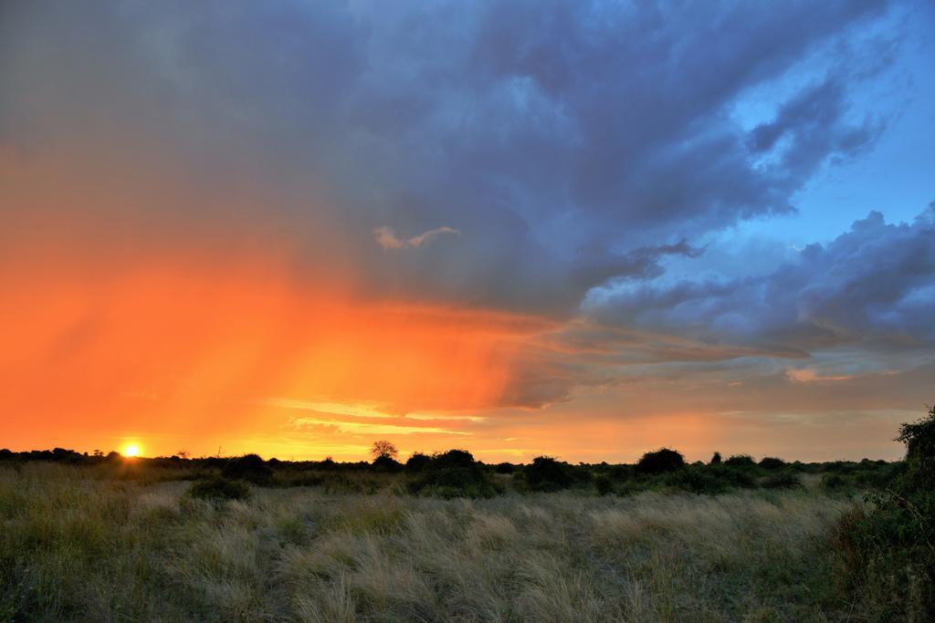 Thebe River Safaris Kasane Bagian luar foto